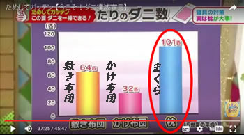 寝具類の1平方メートル当たりのダニの数枕が101匹で最多！